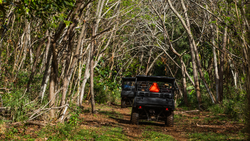 UTVs ramble through a tree tunnel on the way to see a property that will be sold at auction.